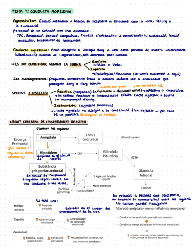 Miniatura del documento T.4-Conducta-agressiva.pdf