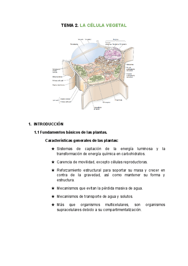 Miniatura del documento TEMA-2.pdf