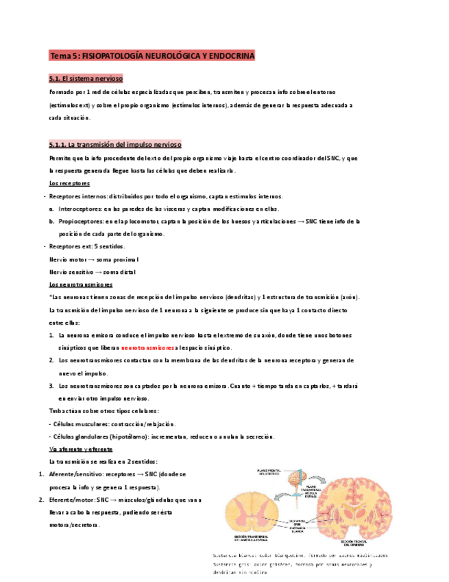 Miniatura del documento T.5-Fisiopatología.pdf