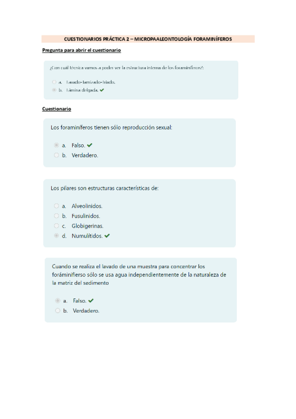 Miniatura del documento CUESTIONARIO-P2.pdf