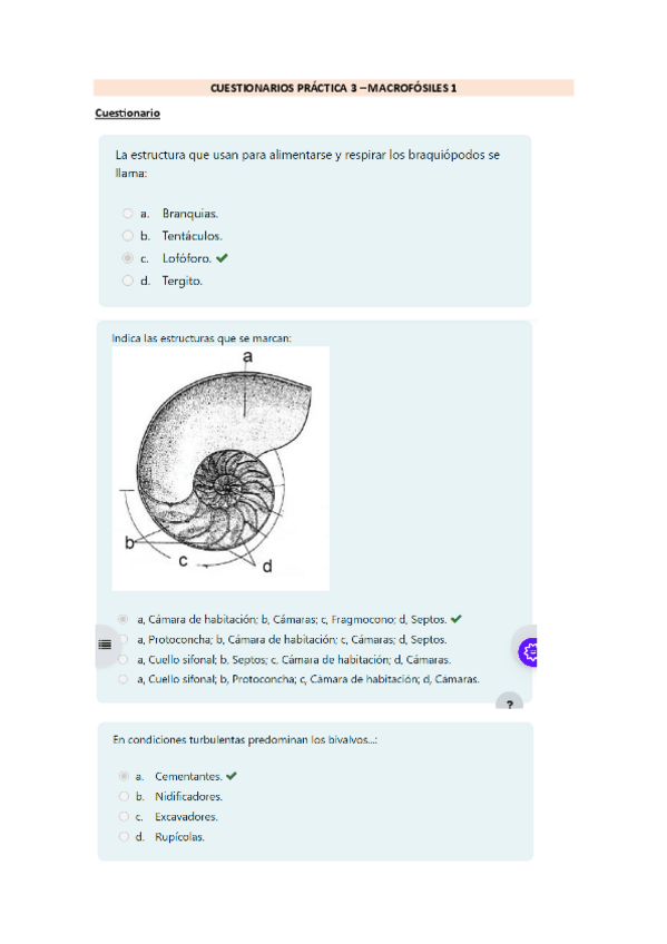 Miniatura del documento CUESTIONARIO-P3.pdf