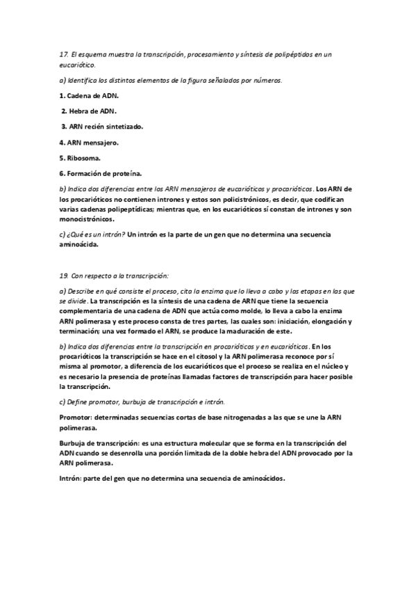Miniatura del documento Actividades-ADN.pdf