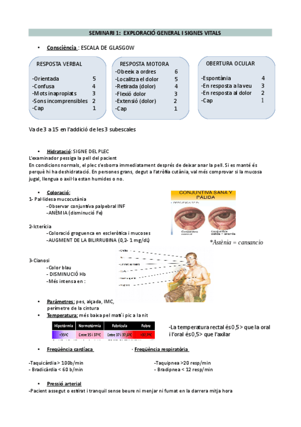 Miniatura del documento SEMINARI-1-INTRO-CLINICA.pdf
