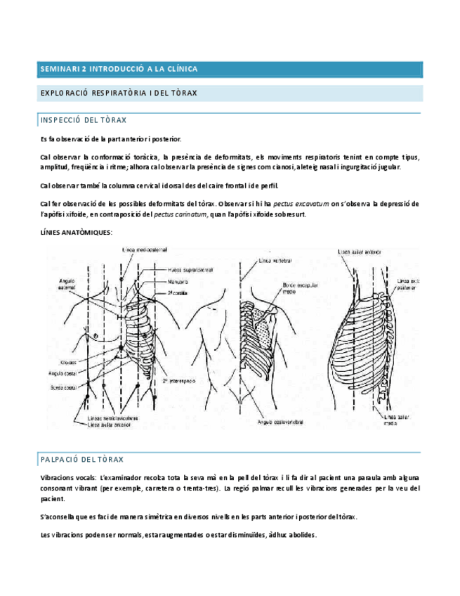 Miniatura del documento SEMINARI-2-INTRO-CLINICA.pdf