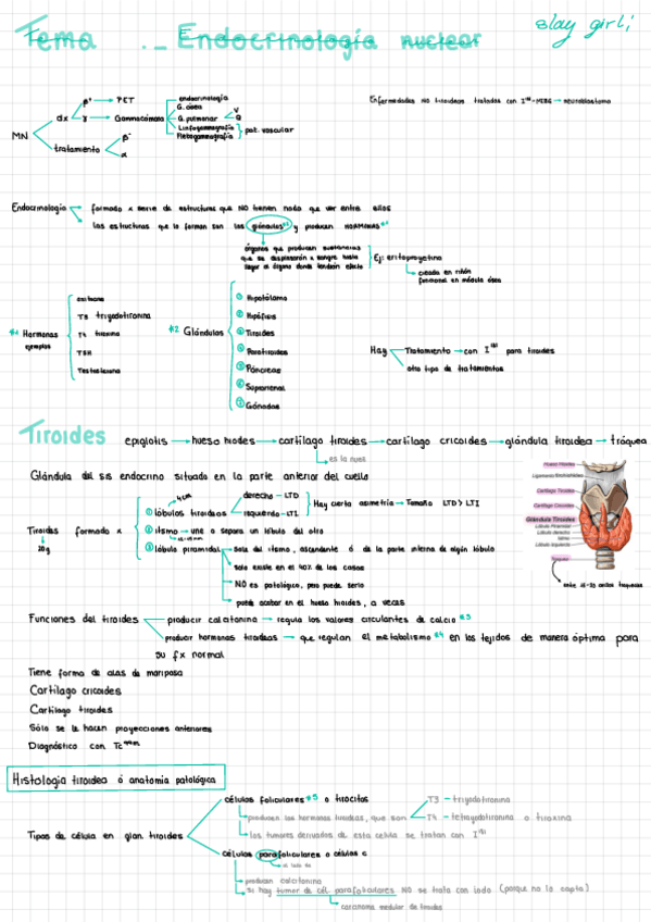 Miniatura del documento MN-endocrinologia-nuclear.pdf