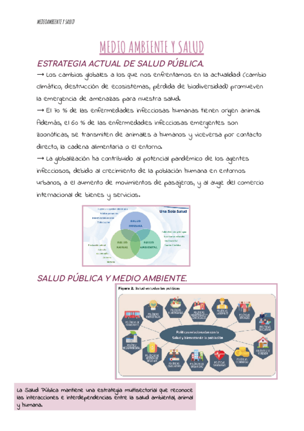 Miniatura del documento 6.MEDIO-AMBIENTE-Y-SALUD.pdf