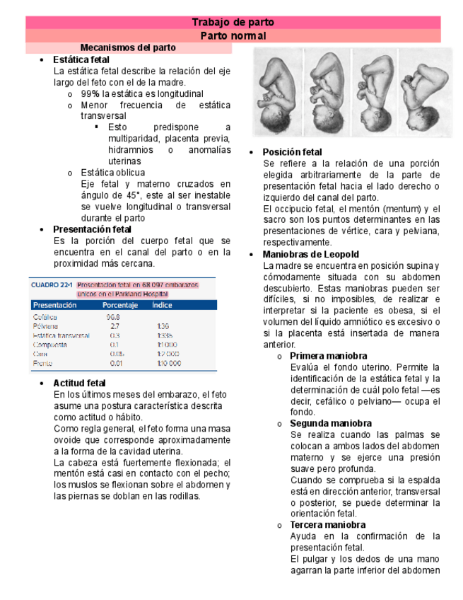 Miniatura del documento Parto-normal-Resumen-Williams.pdf