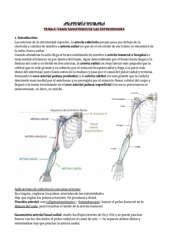 Miniatura del documento ANATOMIA-HUMANA8.pdf