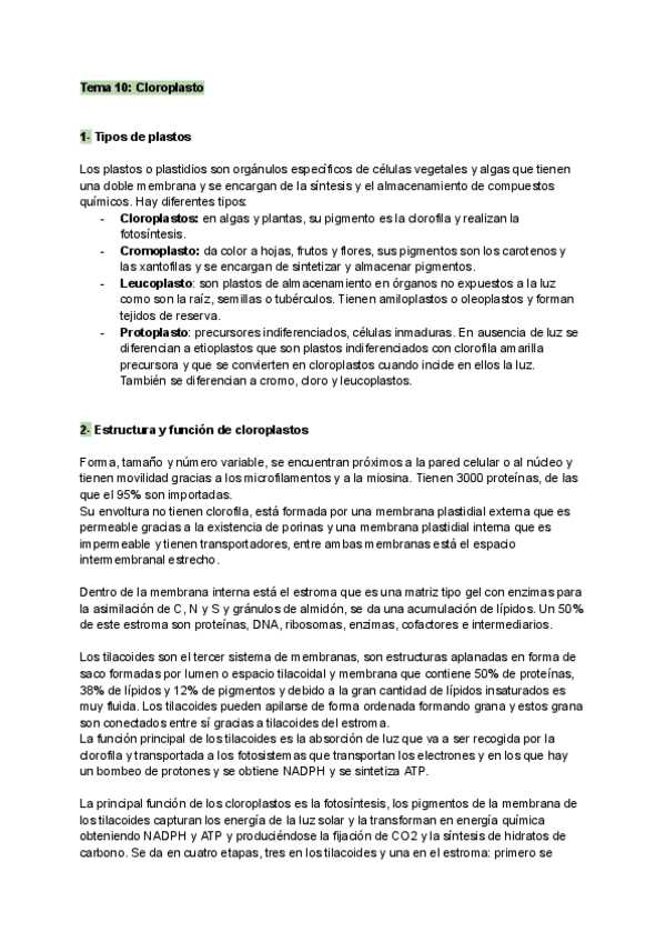 Miniatura del documento TEMA-10-CLOROPLASTO.pdf