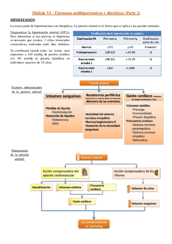 Miniatura del documento Modulo-VI-parte-2.pdf