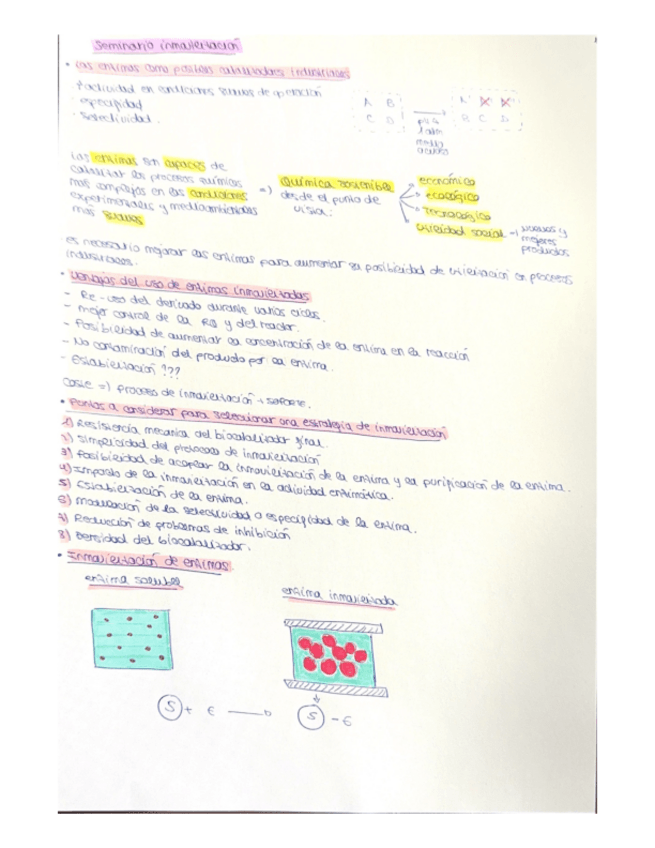 Miniatura del documento Seminarioinmovilizacion.pdf