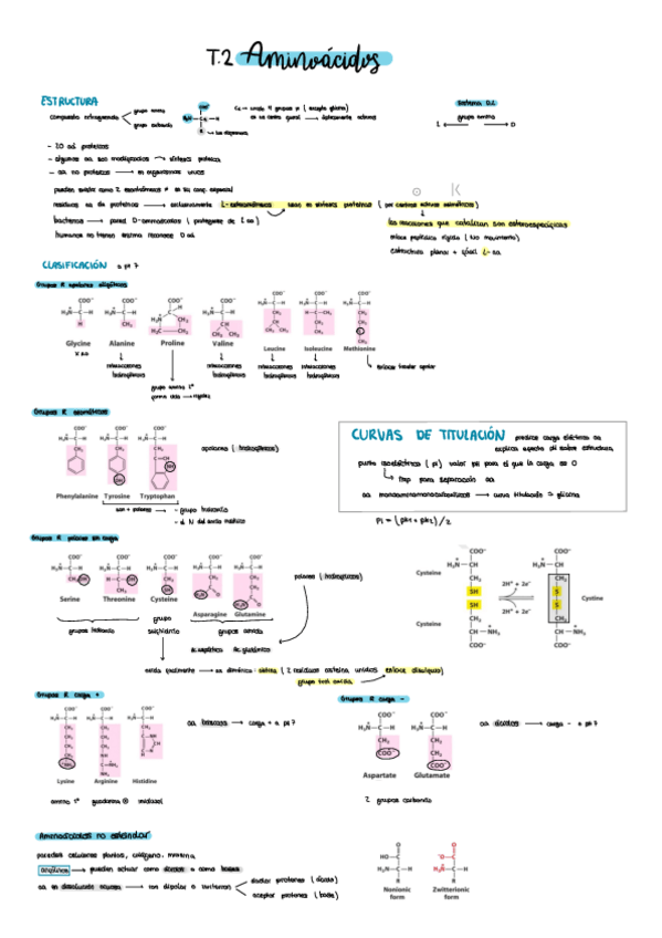 Miniatura del documento Apuntes-Bioquimica.pdf