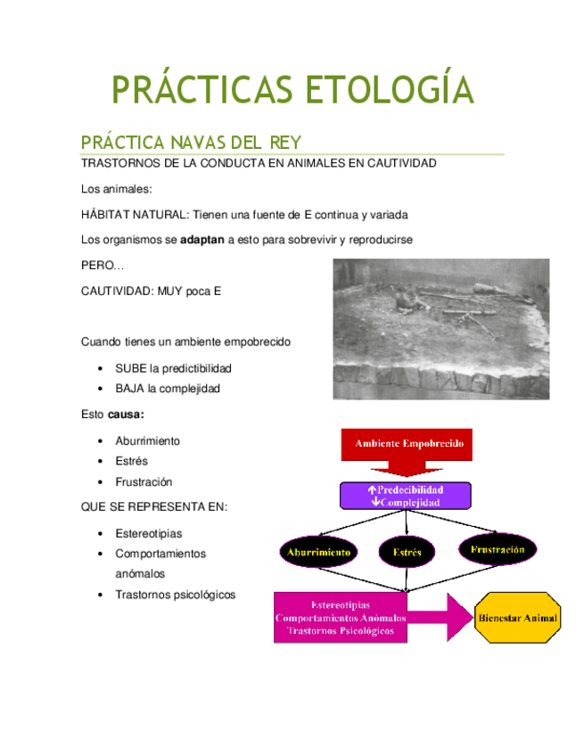 Miniatura del documento PRACTICAS-ETOLOGIA.pdf