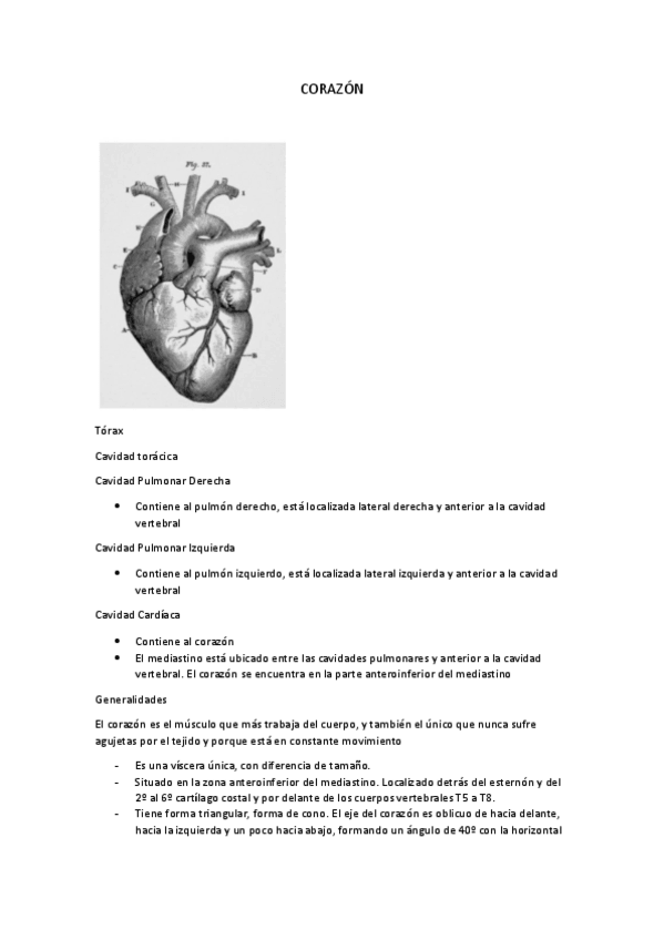 Miniatura del documento CORAZON.pdf