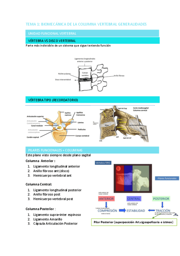 Miniatura del documento BIOMECANICA-COLUMNA-VERTEBRAL-GENERALIDADES.pdf