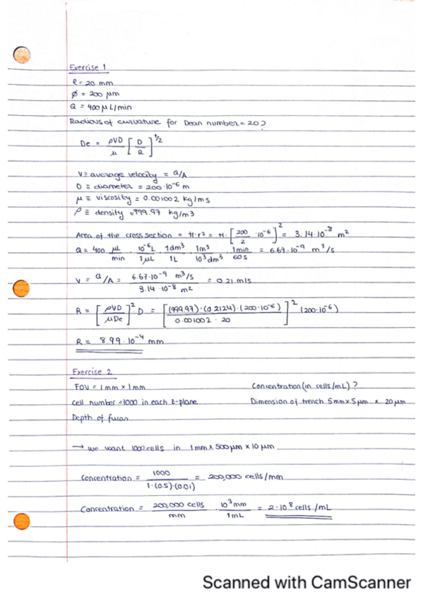 Miniatura del documento Activity-12.pdf