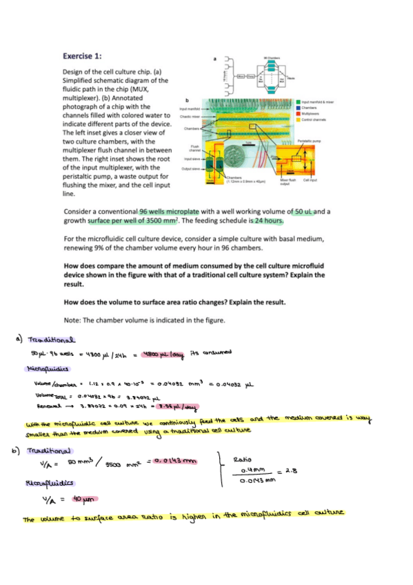 Miniatura del documento Activity-13.pdf