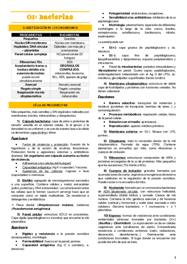 Miniatura del documento primer-parcial.pdf