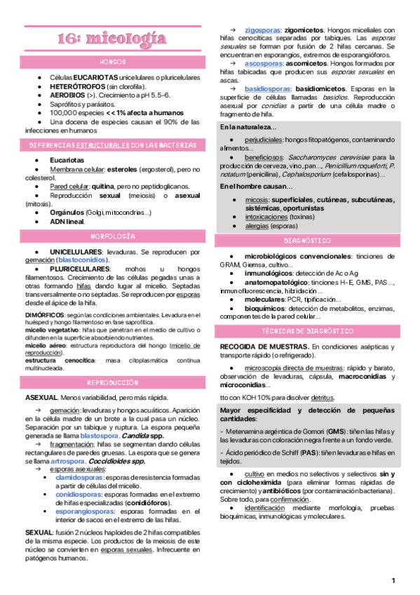 Miniatura del documento segundo-parcial.pdf