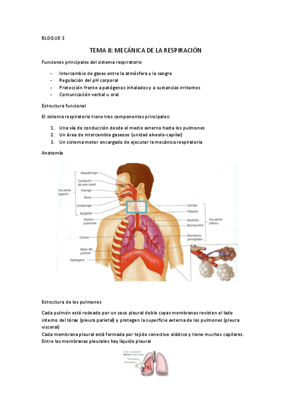 Miniatura del documento TEMA-8.pdf