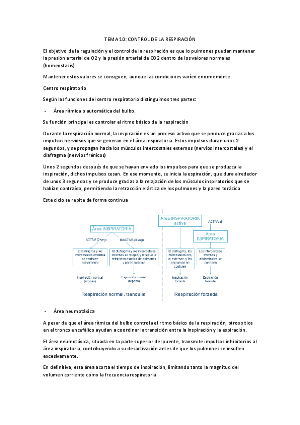 Miniatura del documento TEMA-10.pdf