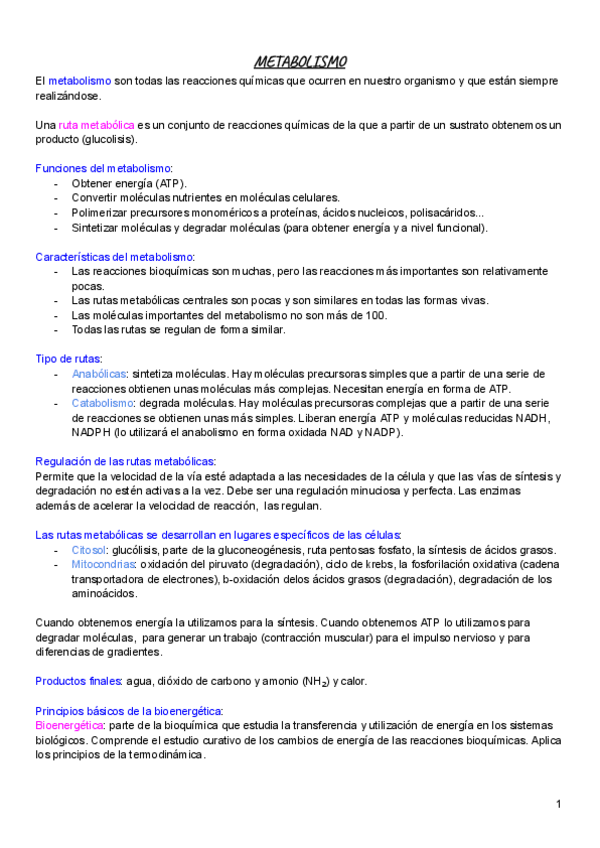 Miniatura del documento Bioquimica-METABOLISMO.pdf