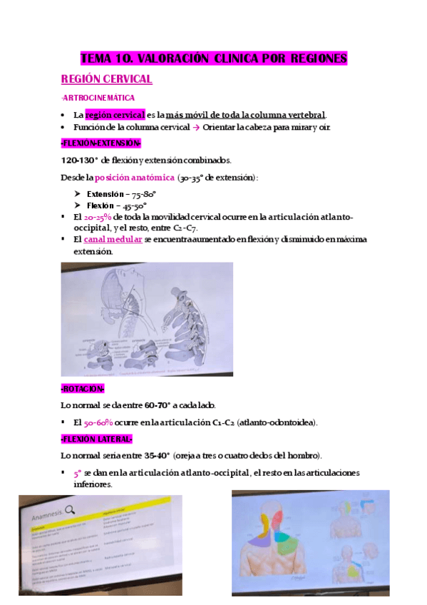 Miniatura del documento TEMA-10.-VALORACION-CLINICA-POR-REGIONES.pdf