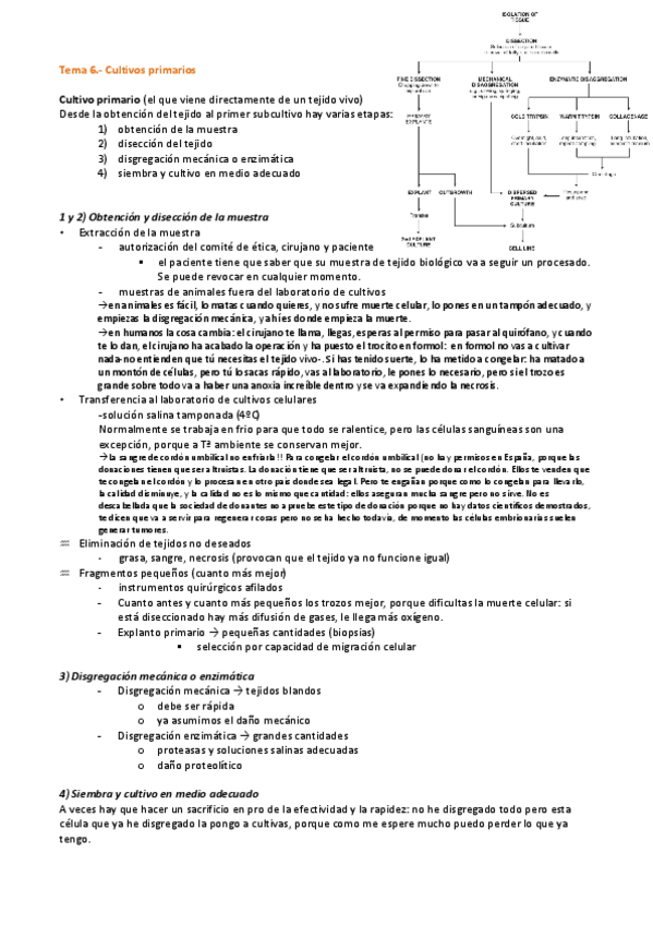 Miniatura del documento Tema 6. Cultivos primarios.pdf