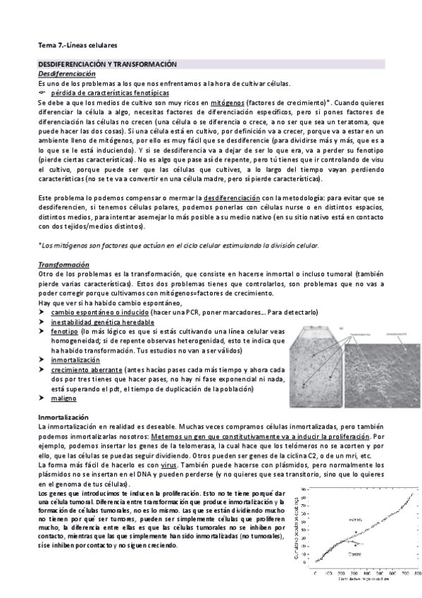 Miniatura del documento Tema 7. Líneas celulares.pdf