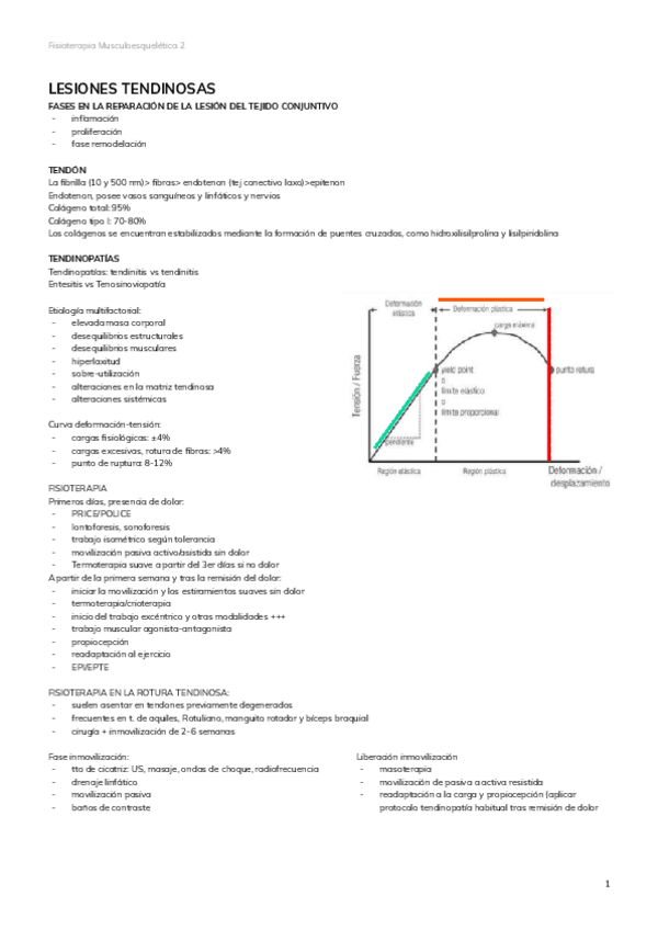 Miniatura del documento 2.-LESIONES-TENDINOSAS.pdf