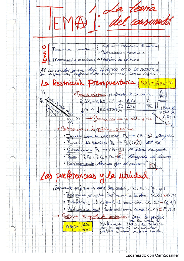 Miniatura del documento TEMARIO-MICRO.pdf
