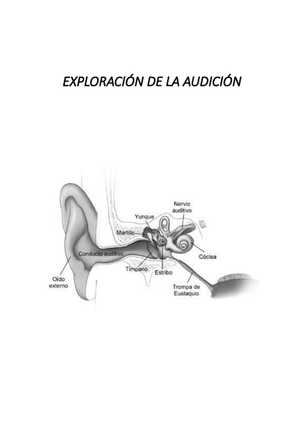 Miniatura del documento RESUMEN-TODOS-LOS-TEMAS-AUDICION.pdf