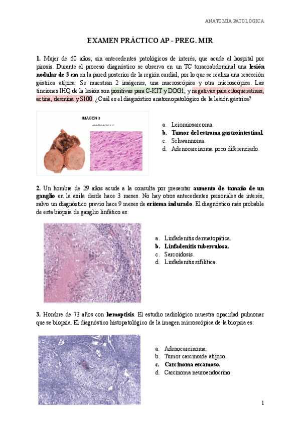 Miniatura del documento EXAMEN-PRACTICO-PREG-MIR.pdf