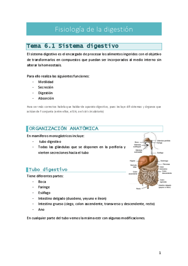 Miniatura del documento FisioTema6digestion.pdf