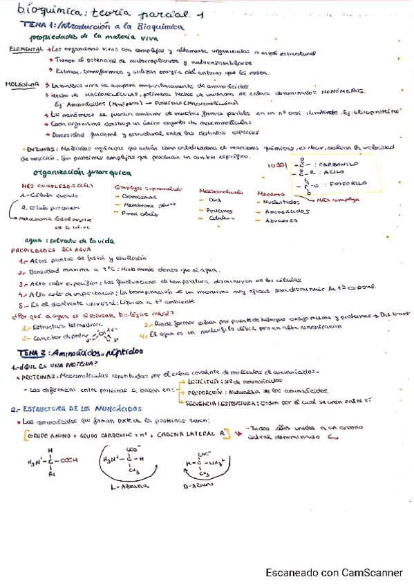 Miniatura del documento BIOQUIMICA-T1-T7.pdf