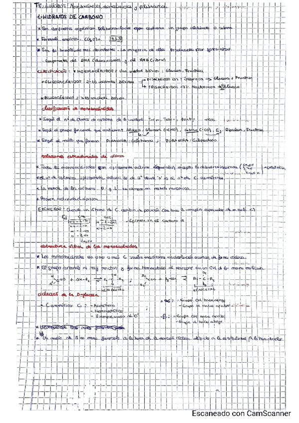 Miniatura del documento BIOQUIMICA-T8-T14.pdf