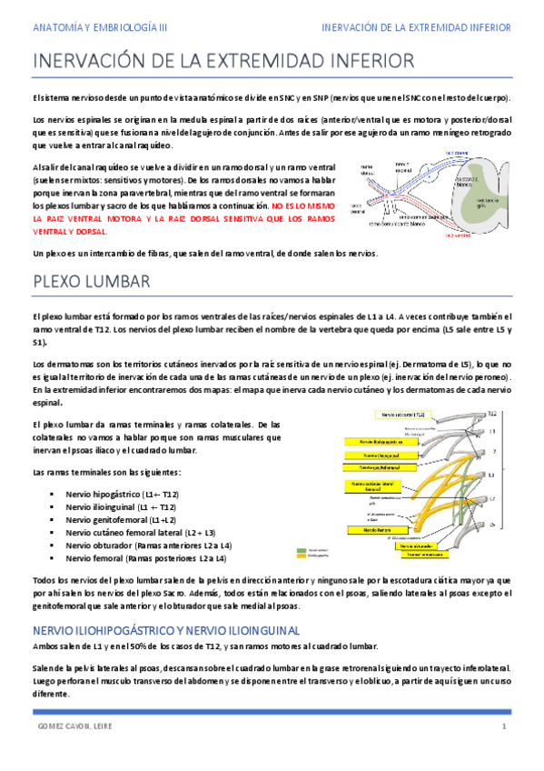 Miniatura del documento INERVACION-INF.pdf