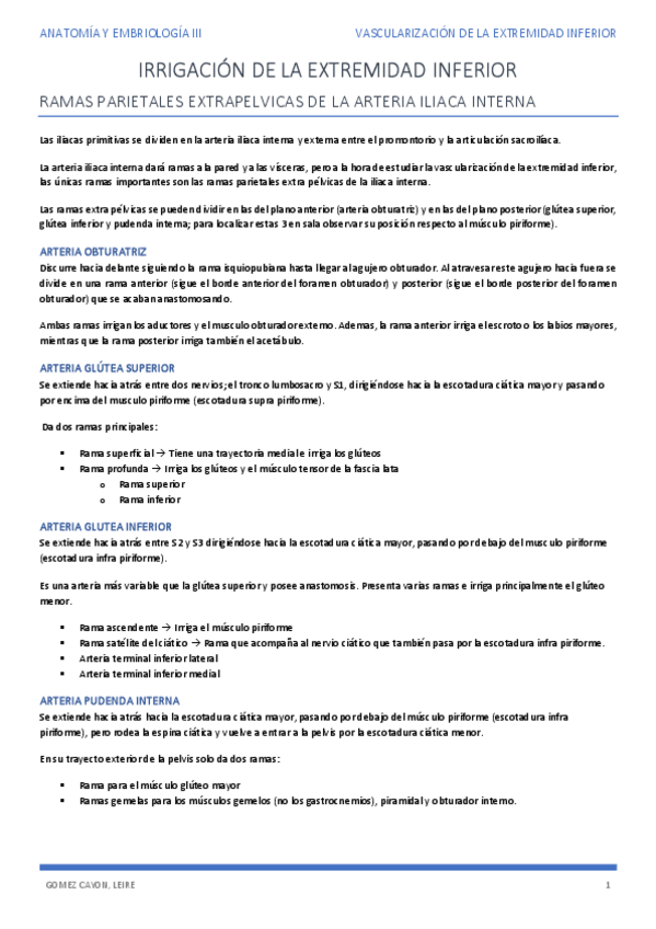 Miniatura del documento VASCULARIZACION-INF.pdf