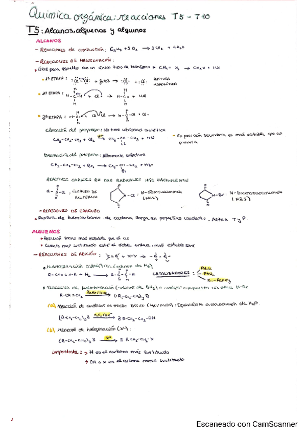 Miniatura del documento QUIMICA-ORGANICAREACCIONES-T5-T10.pdf