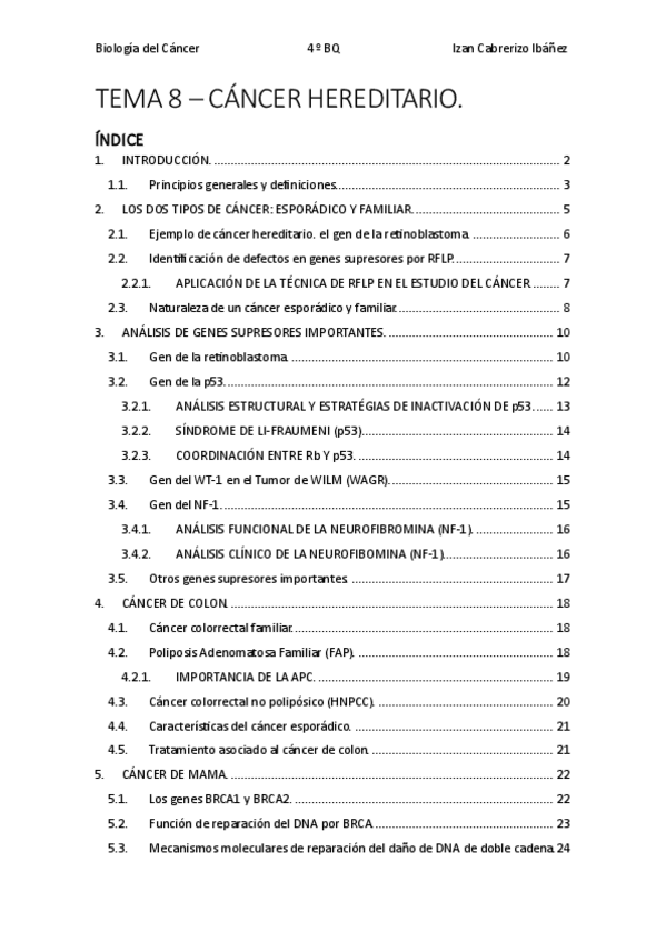 Miniatura del documento BCFINALIzanCabrerizoIbanez.pdf