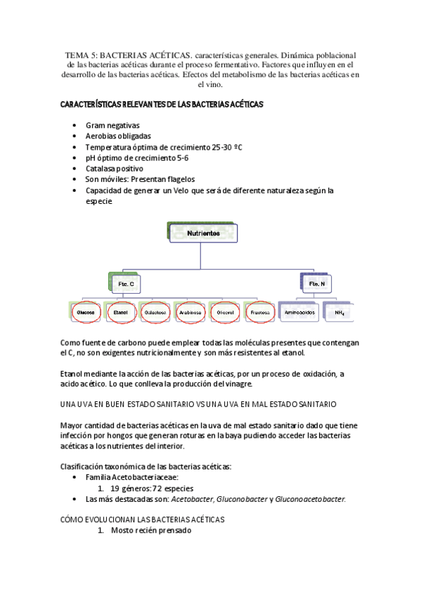 Miniatura del documento TEMA-5MBE.pdf