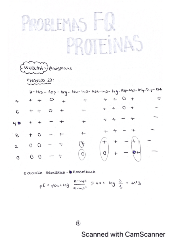 Miniatura del documento Ejercicios-punto-isoelectrico.pdf