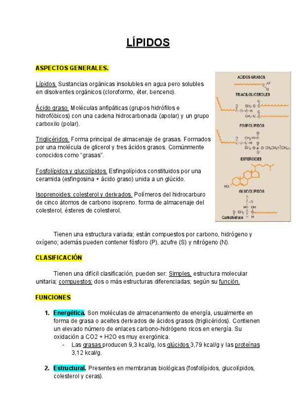 Miniatura del documento LIPIDOS.pdf