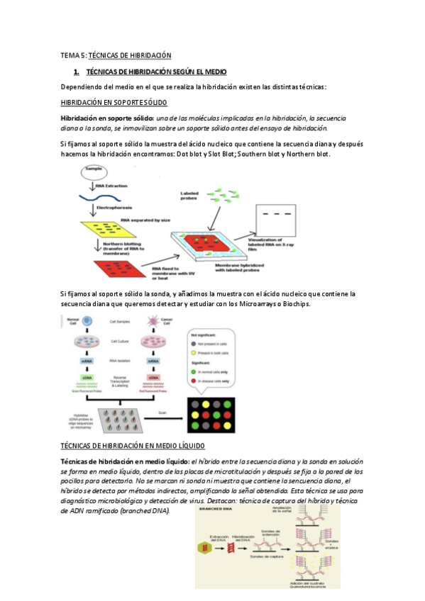 Miniatura del documento TEMA-5-BMC.pdf