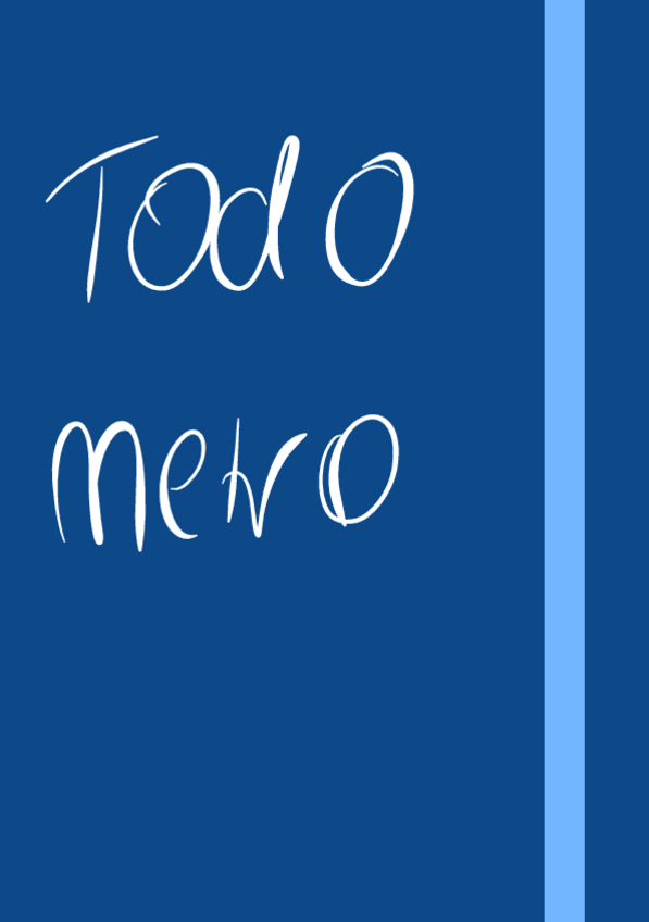 Miniatura del documento Todo-Metro.pdf
