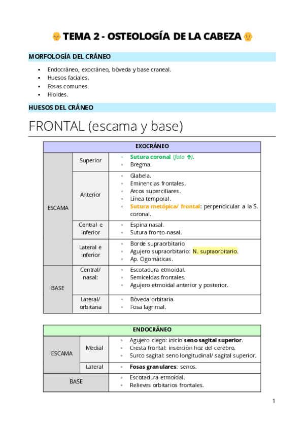 Miniatura del documento 2-Huesos-del-craneo.pdf