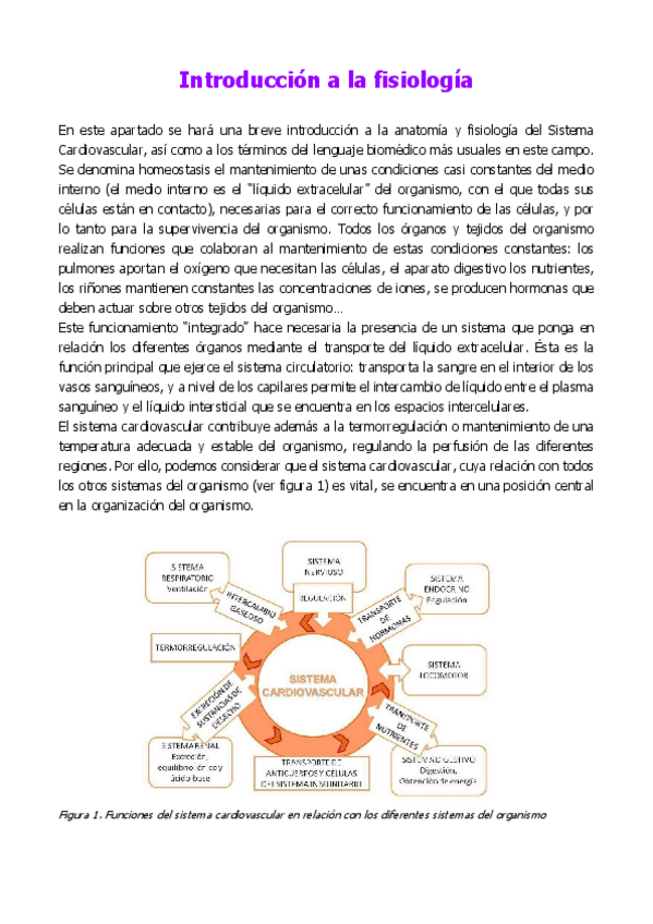 Miniatura del documento Introduccion-a-la-fisiologia.pdf