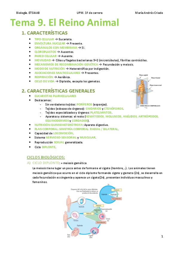 Miniatura del documento Tema-9-Reino-Animal.pdf
