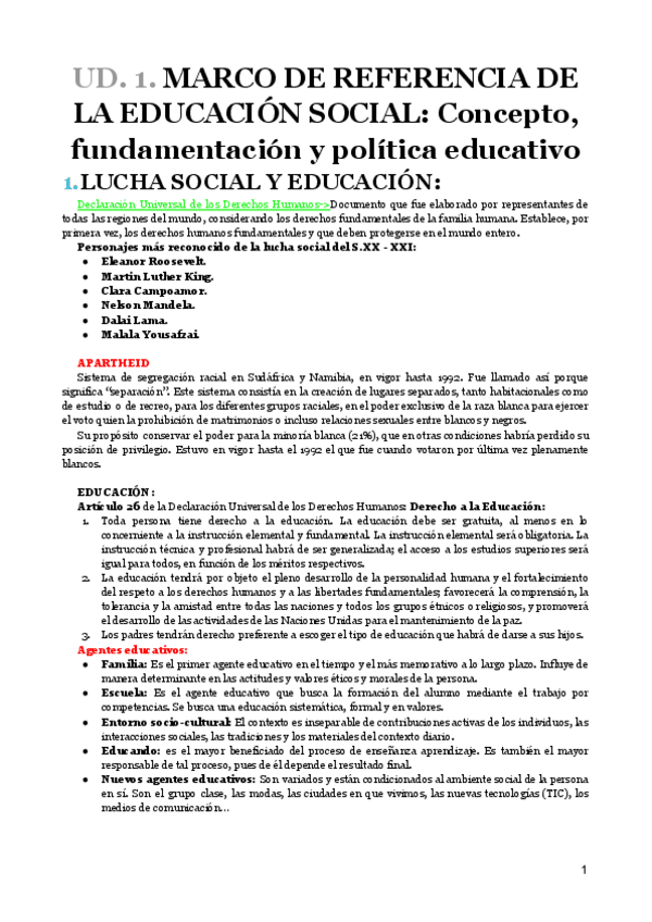 Miniatura del documento RESUMEN-ENERO-social.pdf