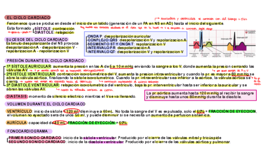 Miniatura del documento 5.-Ciclo-cardiaco.pdf
